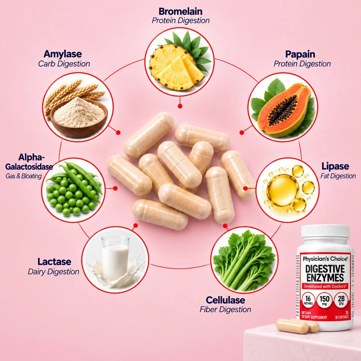 Complete Gut Support Bundle