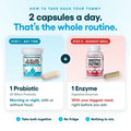 Complete Gut Support Bundle